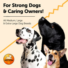 Load image into Gallery viewer, Shock Absorbing Bungee Dog Leash with Seatbelt Buckle and Comfortable Padded Grip, Highly Reflective Bungee Leash for Large Dogs, Stretch Leash Extendable from 4ft to 9 ft.