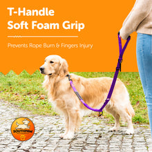 Load image into Gallery viewer, Shock Absorbing Bungee Dog Leash with Seatbelt Buckle and Comfortable Padded Grip, Highly Reflective Bungee Leash for Large Dogs, Stretch Leash Extendable from 4ft to 9 ft.