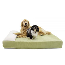 Load image into Gallery viewer, Carolina Pet Company Large Breed Pet Lounger