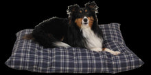 Load image into Gallery viewer, Carolina Pet Company Plaid Shebang Rectangle