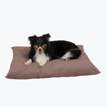 Load image into Gallery viewer, Carolina Pet Company Solid Shebang Rectangle