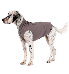 Gold Paw Stretch Fleece Fuchsia Open Box
