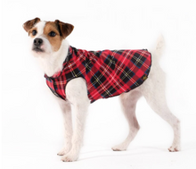 Load image into Gallery viewer, Gold Paw Stretch Fleece Fuchsia Open Box
