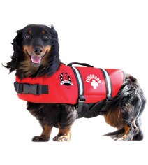 Paws Aboard Red Neoprene Doggie Life Jacket
