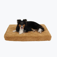 Load image into Gallery viewer, Carolina Pet Company Protector Pad Quilted Orthopedic Jamison
